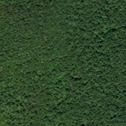 Satellite imagery of Lodge Point, US