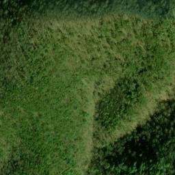 Satellite imagery of Fork Ridge, US