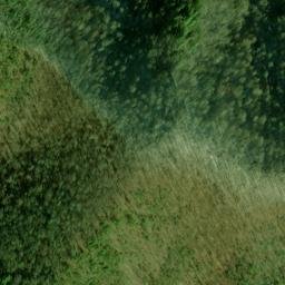 Satellite imagery of Fork Ridge, US