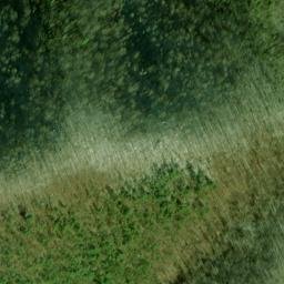 Satellite imagery of Fork Ridge, US