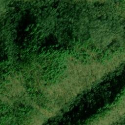 Satellite imagery of Horse Lead, US