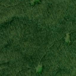 Satellite imagery of Bald Point, US