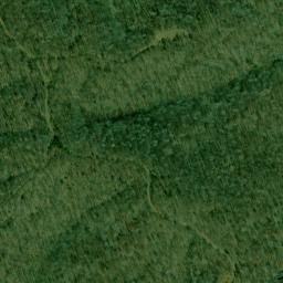 Satellite imagery of Wynne Point, US