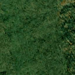 Satellite imagery of Wynne Point, US