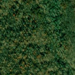 Satellite imagery of Wynne Point, US