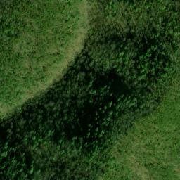 Satellite imagery of Fork Ridge, US
