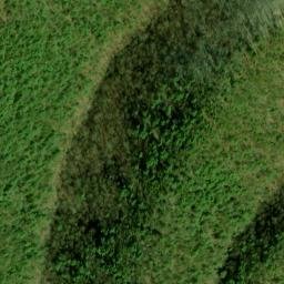 Satellite imagery of Fork Ridge, US
