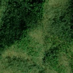 Satellite imagery of Horse Lead, US