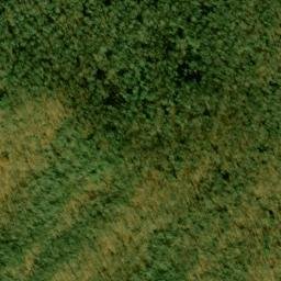 Satellite imagery of Timber Ridge, US