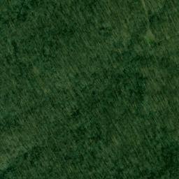 Satellite imagery of Bald Point, US