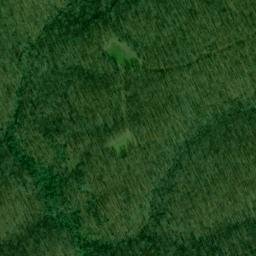 Satellite imagery of Bald Point, US