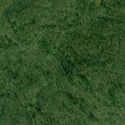 Satellite imagery of Wynne Point, US