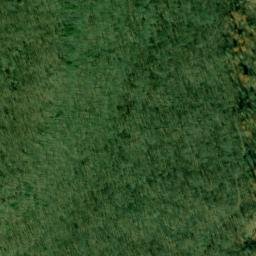 Satellite imagery of Wynne Point, US