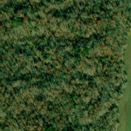 Satellite imagery of Wynne Point, US