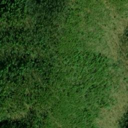 Satellite imagery of Fork Ridge, US
