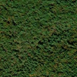 Satellite imagery of Cedar Cliff, US