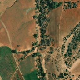 Satellite imagery of Bou Hammar, DZ