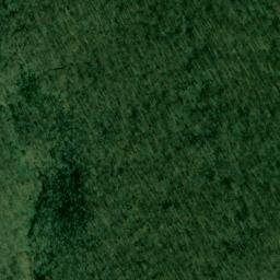 Satellite imagery of Bald Point, US
