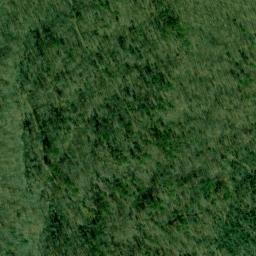 Satellite imagery of Wynne Point, US