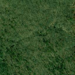 Satellite imagery of Wynne Point, US