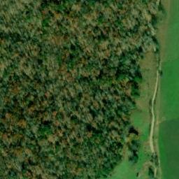 Satellite imagery of Wynne Point, US