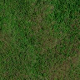 Satellite imagery of Big Spring Ridge, US