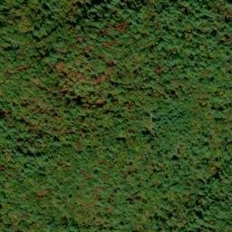 Satellite imagery of Cedar Cliff, US