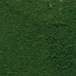 Satellite imagery of Tar Kiln Point, US
