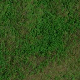 Satellite imagery of Pigpen Ridge, US