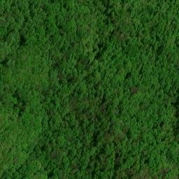 Satellite imagery of Rough Ridge, US