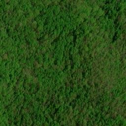 Satellite imagery of High Cove Ridge, US