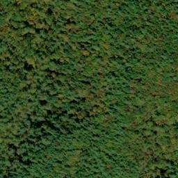 Satellite imagery of Cedar Cliff, US