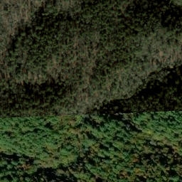 Satellite imagery of Bee Cove Creek Prospect, US