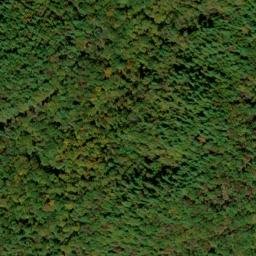 Satellite imagery of Bee Cove Creek Prospect, US