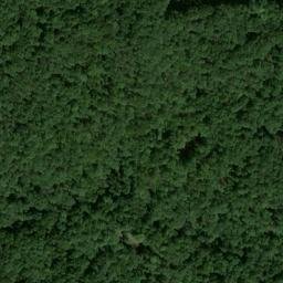 Satellite imagery of Pea Ridge, US