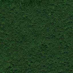Satellite imagery of Step Point, US