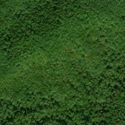Satellite imagery of Ballard Mountain, US