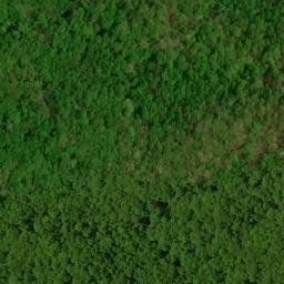 Satellite imagery of Big Spring Ridge, US