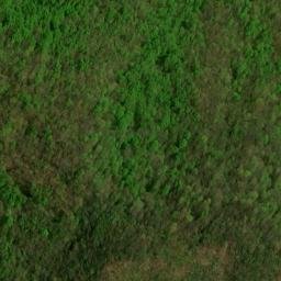 Satellite imagery of High Cove Ridge, US