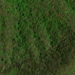 Satellite imagery of High Cove Ridge, US