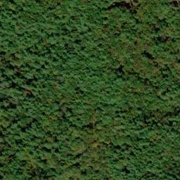 Satellite imagery of Stooping White Oak Ridge, US