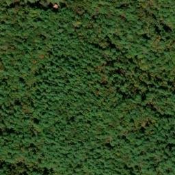 Satellite imagery of Stooping White Oak Ridge, US