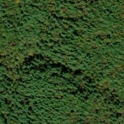 Satellite imagery of Stooping White Oak Ridge, US