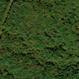 Satellite imagery of Bee Cove Creek Prospect, US