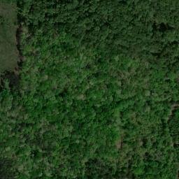 Satellite imagery of Pea Ridge, US