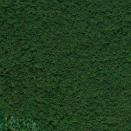 Satellite imagery of Step Point, US
