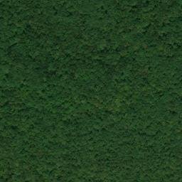 Satellite imagery of Step Point, US