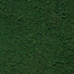 Satellite imagery of Step Point, US