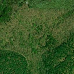 Satellite imagery of Gumlog Mountain, US
