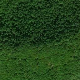 Satellite imagery of Ballard Mountain, US